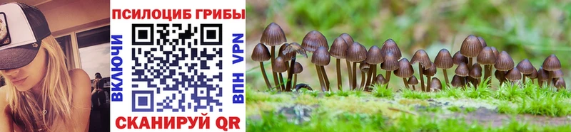 Галлюциногенные грибы Cubensis  OMG онион  Грязовец 